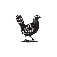 Chukar Partridge Silhouette Vector Design – Elegant Game Bird Artwork Featuring Distinctive Stripes, Bold Stance, Minimal Black Outline Style Perfect for Nature Prints, Logos, and Decor
