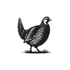 Chukar Partridge Silhouette Vector Design – Elegant Game Bird Artwork Featuring Distinctive Stripes, Bold Stance, Minimal Black Outline Style Perfect for Nature Prints, Logos, and Decor
