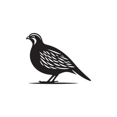 Chukar Partridge Silhouette Vector Design – Elegant Game Bird Artwork Featuring Distinctive Stripes, Bold Stance, Minimal Black Outline Style Perfect for Nature Prints, Logos, and Decor
