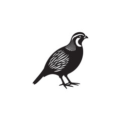 Chukar Partridge Silhouette Vector Design – Elegant Game Bird Artwork Featuring Distinctive Stripes, Bold Stance, Minimal Black Outline Style Perfect for Nature Prints, Logos, and Decor

