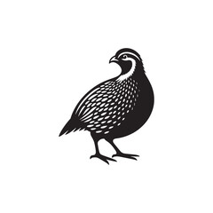 Chukar Partridge Silhouette Vector Design – Elegant Game Bird Artwork Featuring Distinctive Stripes, Bold Stance, Minimal Black Outline Style Perfect for Nature Prints, Logos, and Decor
