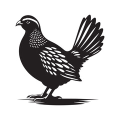 Chukar Partridge Silhouette Vector Design – Elegant Game Bird Artwork Featuring Distinctive Stripes, Bold Stance, Minimal Black Outline Style Perfect for Nature Prints, Logos, and Decor
