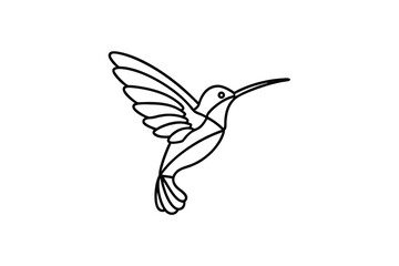 Elegant hummingbird line art bird design illustration