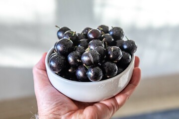 Beautiful and juicy ripe jabuticaba fruits in fine detail