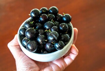 Beautiful and juicy ripe jabuticaba fruits in fine detail