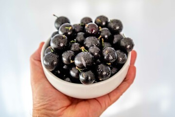 Beautiful and juicy ripe jabuticaba fruits in fine detail