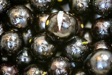 Beautiful and juicy ripe jabuticaba fruits in fine detail