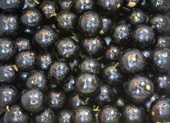Beautiful and juicy ripe jabuticaba fruits in fine detail