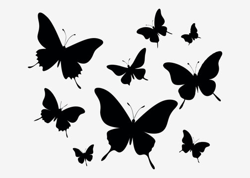Butterfly silhouette bundle A set of butterflies in silhouette style Silhouette design of a butter