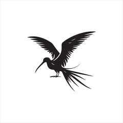 Soaring Frigatebird Silhouette Vector – Majestic Seabird with Inflated Throat Pouch, Long Wingspan, Minimal Black Outline Perfect for Nautical Wildlife Art, Logos, and Decor
