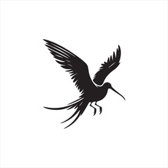 Soaring Frigatebird Silhouette Vector – Majestic Seabird with Inflated Throat Pouch, Long Wingspan, Minimal Black Outline Perfect for Nautical Wildlife Art, Logos, and Decor
