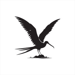 Soaring Frigatebird Silhouette Vector – Majestic Seabird with Inflated Throat Pouch, Long Wingspan, Minimal Black Outline Perfect for Nautical Wildlife Art, Logos, and Decor

