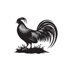 Regal Junglefowl Silhouette Vector Art – Wild Ancestral Rooster Design with Striking Tail Feathers, Minimal Black Outline Perfect for Farm Icons, Nature Graphics, and Tribal Decor
