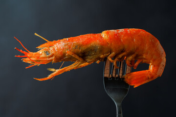 Cooked grill shrimp on a fork isolated on black background. Close up.