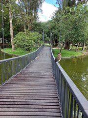 Curitiba Paraná Brazil February 3 2024 Wooden footbridge with birds over lake in Passeio Público...