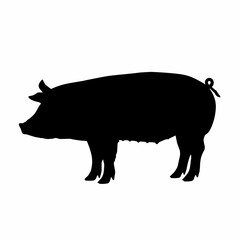 Fototapeta premium A simple black silhouette of a pig, facing left, shows its body, legs, and curled tail against a white background. Farm animal, livestock, pork.