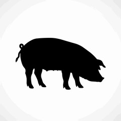 A simple black silhouette of a pig, side profile, facing left, on a white background.