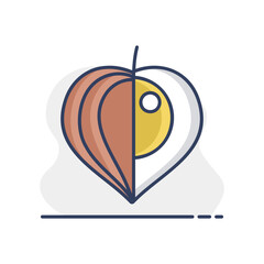 Physalis berries isolated design vector icon