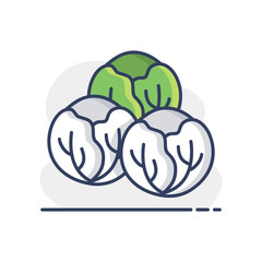 Brussels sprouts isolated design vector icon