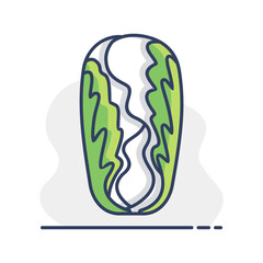 Chinese cabbage isolated vector icon