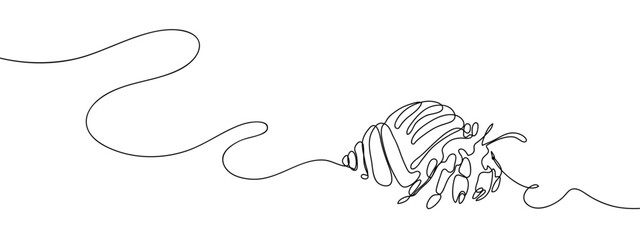 Continuous line, hermit crab Hand drawn vector art lines on transparent background. Editable strokes. © Proongnee