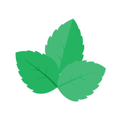Fresh Mint Leaves Vibrant Green Herbal Illustration