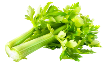 Vibrant close up of fresh green celery stalks on a dark background