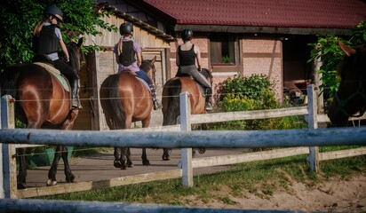 Grupa młodych ludzi wyjeżdża ze stajni w teren na koniach po letnią wakacyjną przygodę podcdzas sportowego obozu konnego dla dzieci i młodzieży nad morzem. Niezapomniane wakacje w siodle i hipoterapia