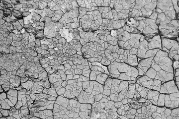 Detail of an old wood with cracked paint