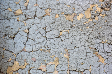 Detail of an old wood with cracked paint
