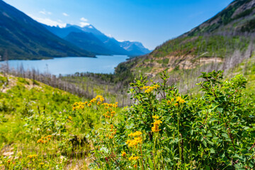 Waterton National Park