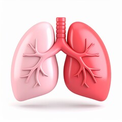 Human Lungs 3D Render: Pink And Red Anatomical Model