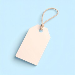Blank Beige Tag with Jute String on Light Blue Background