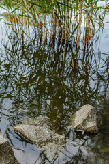 Rocks in shallow water with vertical reeds reflecting on the dark surface.
