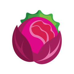 Vibrant Red Cabbage Illustration A Fresh, Healthy Vegetable
