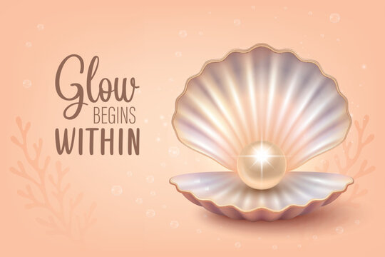 Open Seashell with Shiny Pearl, Vector Illustration. Realistic Pearl Shell Vector for Cosmetic Packaging, Sea Jewelry Design, Spa Logo, Luxury Beauty Branding, Skincare Product Art, Ocean Illustration