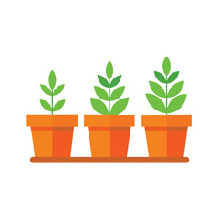 Obraz premium Growth Stages of Plants From Seedling to Mature Plant in Pots