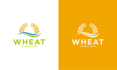 Luxury Grain wheat logo concept, Agriculture wheat Logo Template vector icon