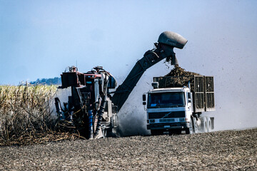 Sugar Cane Harvesting, North Queensland Australia