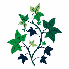 Minimal Midnight Ivy Design