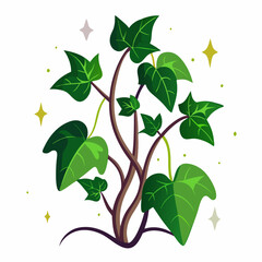 Minimal Midnight Ivy Design