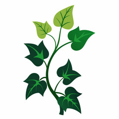 Minimal Midnight Ivy Design