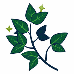Minimal Midnight Ivy Design