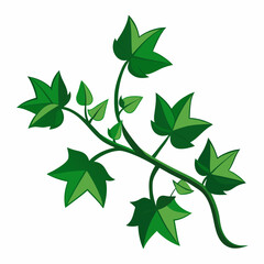 Minimal Midnight Ivy Design