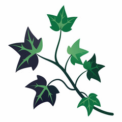 Minimal Midnight Ivy Design