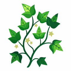 Minimal Midnight Ivy Design