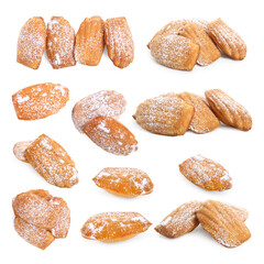 Tasty madeleine cakes on white background, collage