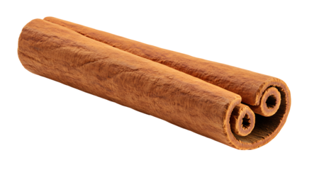 A cinnamon stick is displayed against a black backdrop showcasing its rolled structure and texture