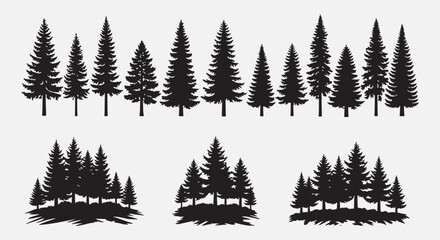 Fototapeta premium Evergreen Forest Silhouette Vector Set – Pine & Spruce Tree Line Illustrations