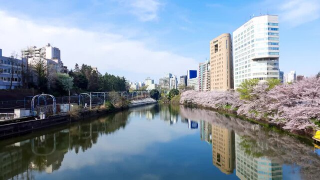 「外濠公園」の写真素材 | 912件の無料イラスト画像 | Adobe Stock